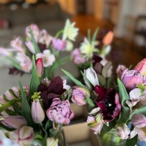 Subscriptions & Packages